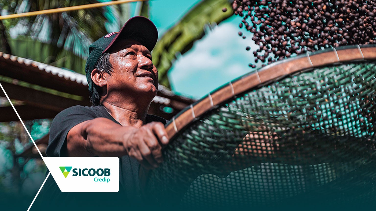 Produção sustentável de café em terra indígena de RO é apresentado na COP28