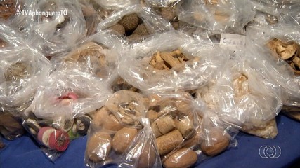 Procura por plantas medicinais é grande nas feiras de Palmas