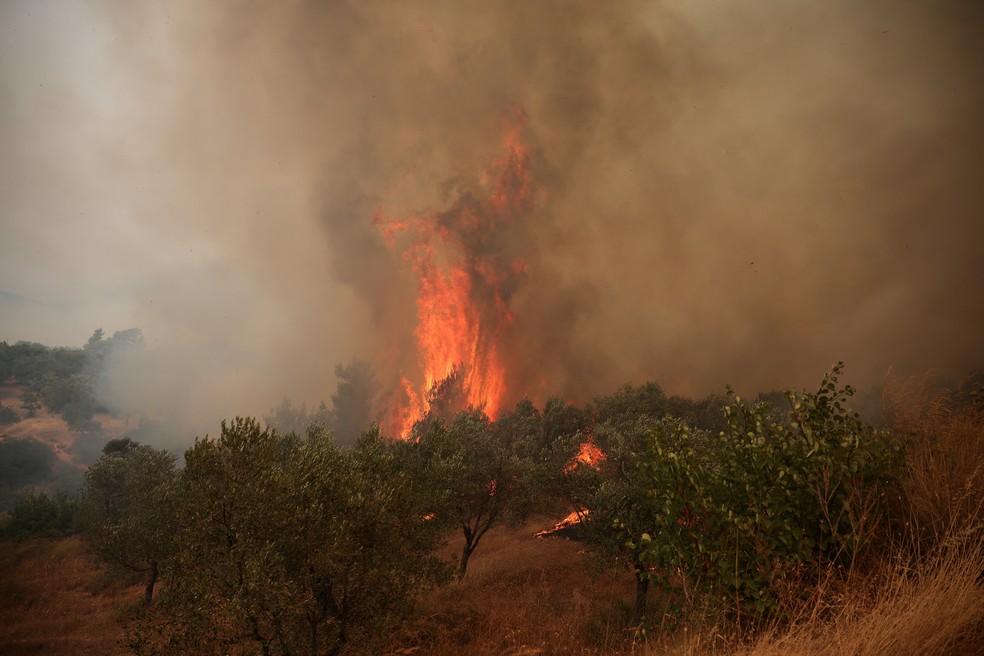 Incêndios florestais em Zachouli, no vale do Megara, na Grécia, em 2 de agosto de 2026. — Foto: REUTERS/Louisa Gouliamaki