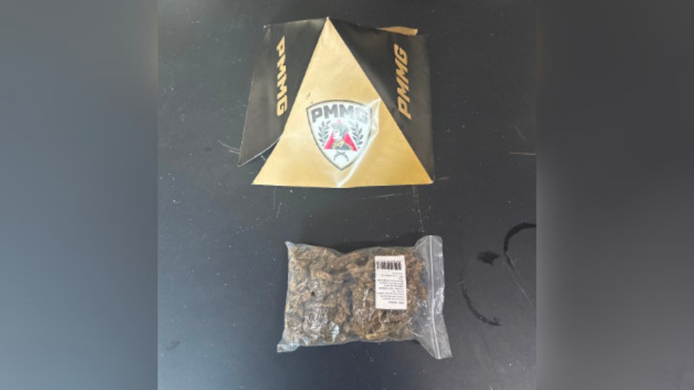 Funcionário de transportadora descobre maconha ao sentir cheiro em encomenda em Uberlândia