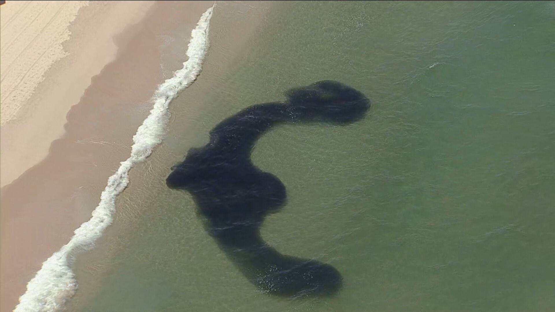 Cardumes chamam atenção na Praia da Reserva