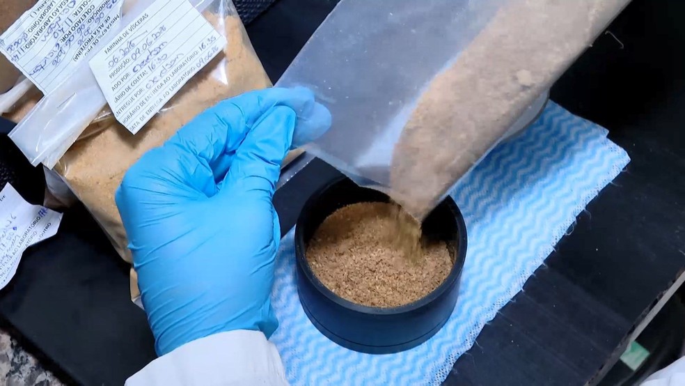 Farinha produzida a partir de subprodutos do abate passa por controle de qualidade — Foto: Reprodução/TV Gazeta