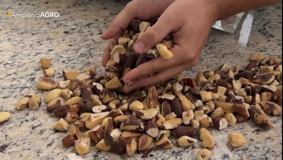 Rica em proteínas, gorduras boas e minerais, castanha é um superalimento que conquista cada vez mais espaço. — Foto: Reprodução/Rede Amazônica