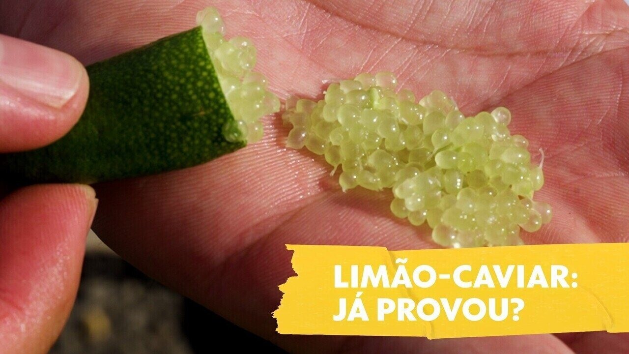 Alimento divino: cacau é um presente de Deus para curar o mundo, acreditam Yanomamis