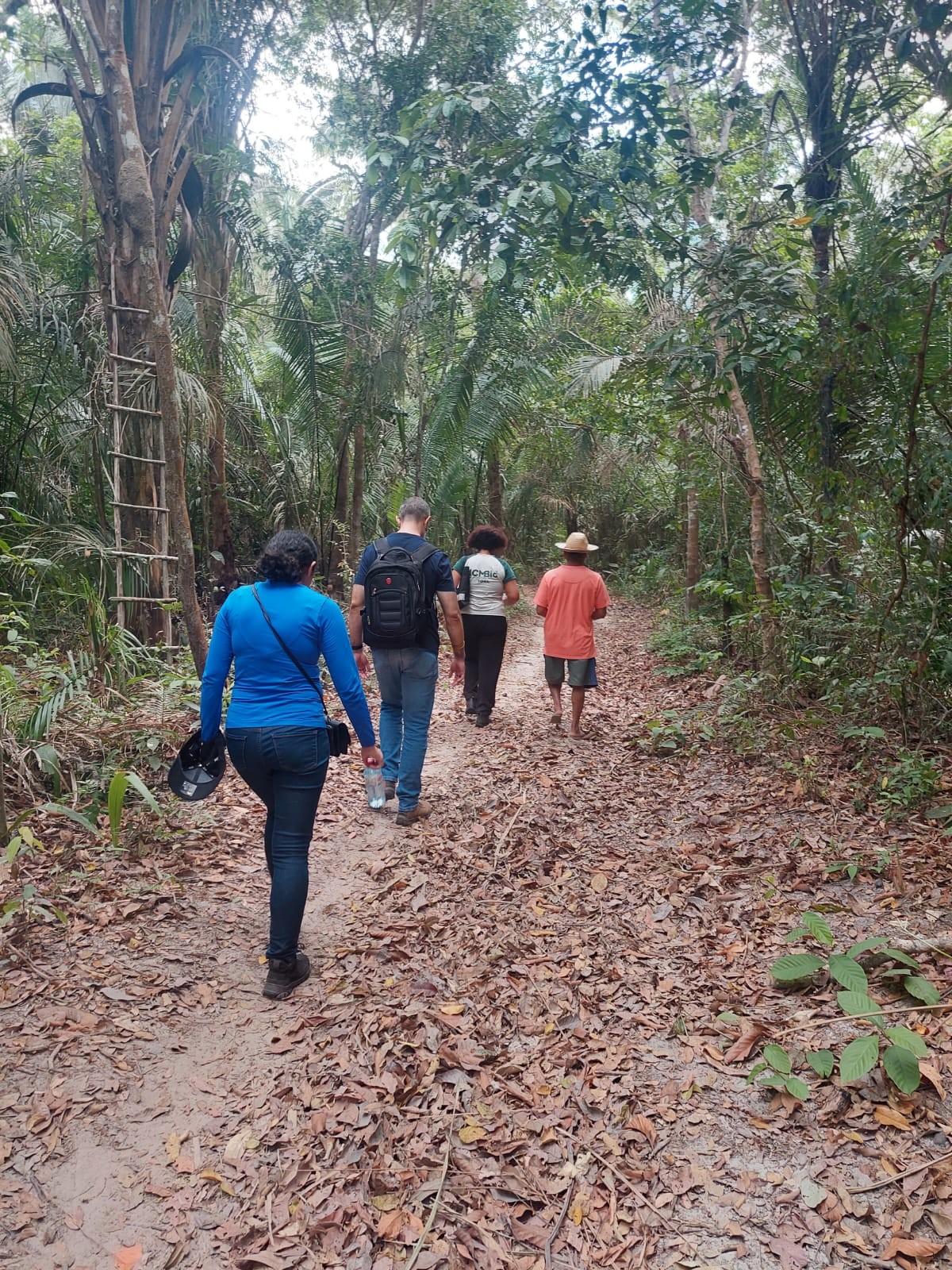 Iphan identifica vestígios arqueológicos no Quilombo Frechal no MA que indicam ocupação ancestral