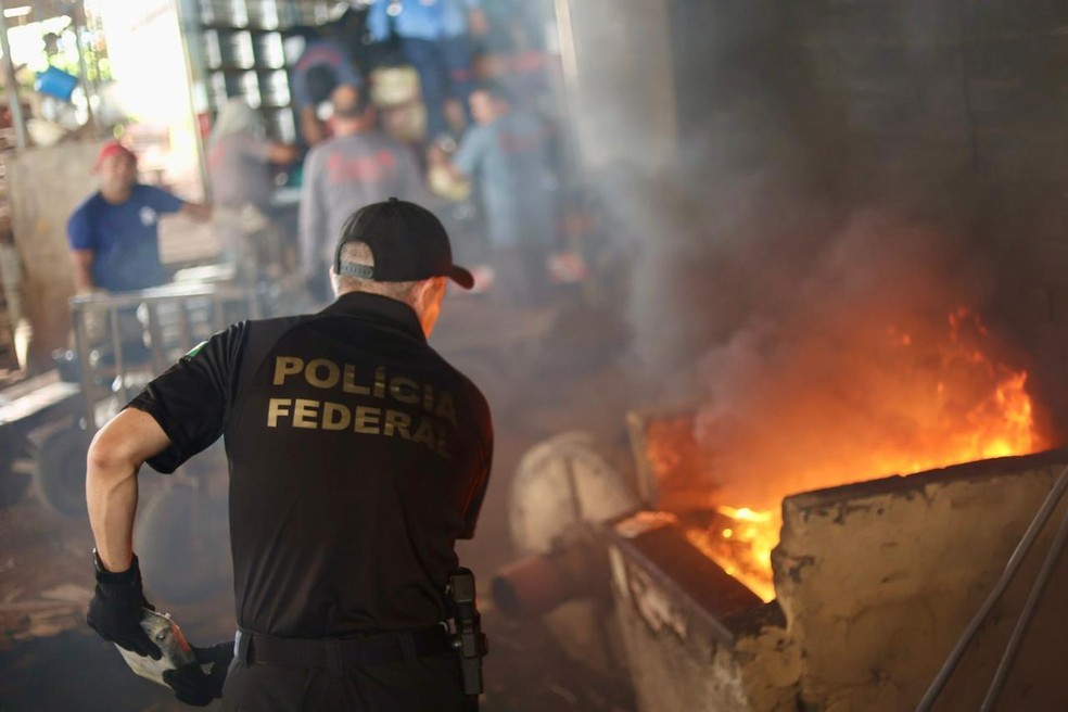 Drogas foram incineradas na Grande Belém em ação da PF — Foto: PF/Divulgação
