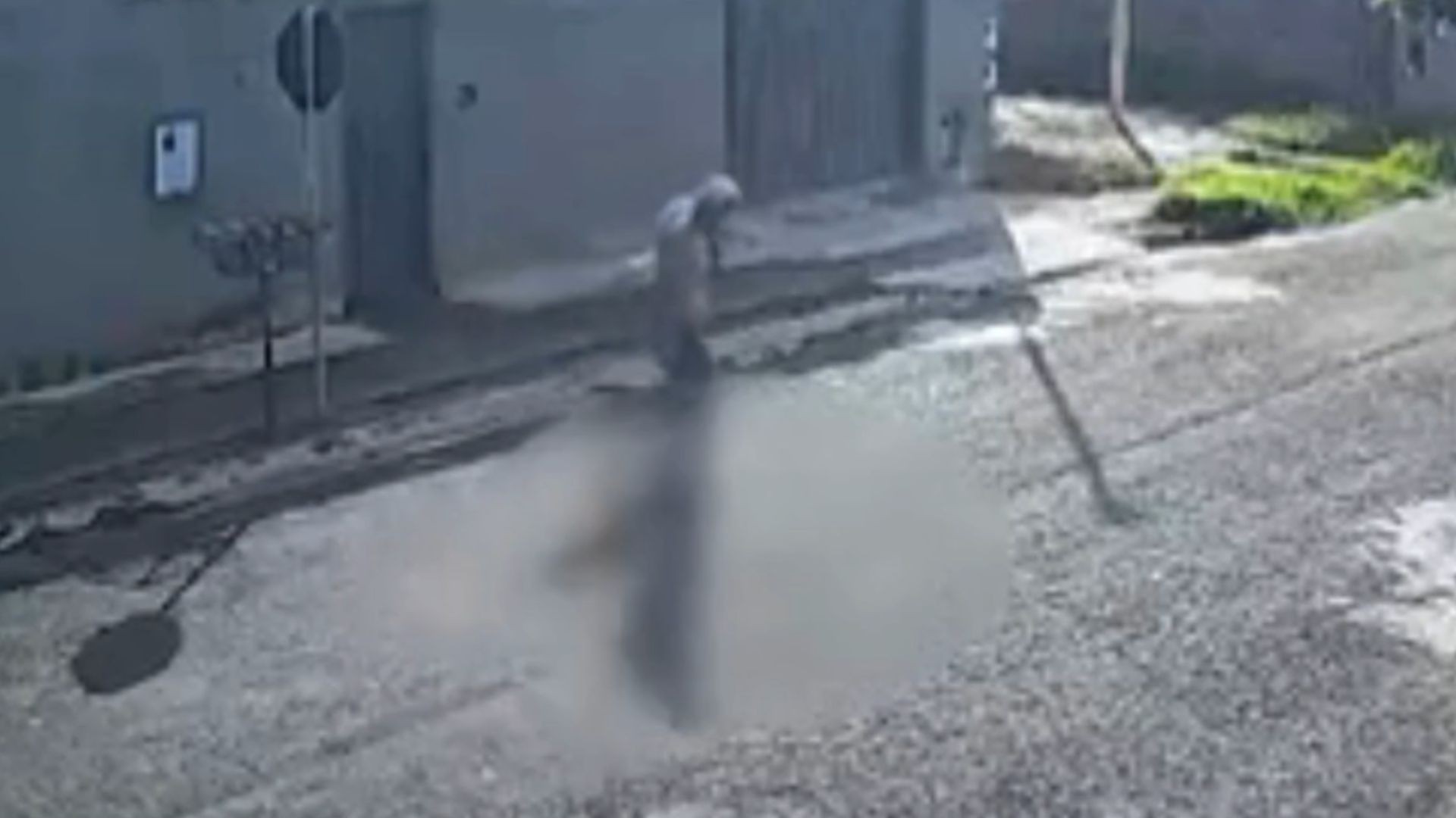 VÍDEO: Homem é preso por arrastar cachorro pelo pescoço com arame farpado em MG  