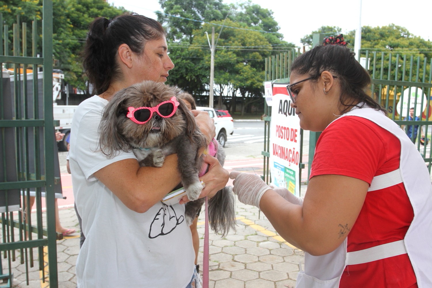 imagem