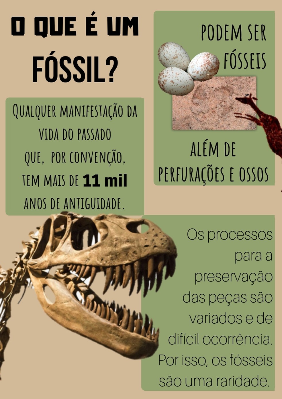 As descobertas da paleontologia são muito importantes para a história e para a ciência — Foto: Arte/TG