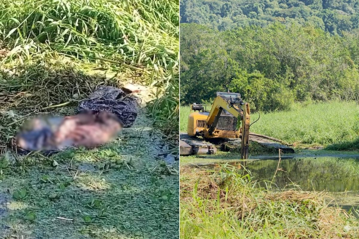 Ossada humana é encontrada dentro de canal no litoral de SP; VÍDEO
