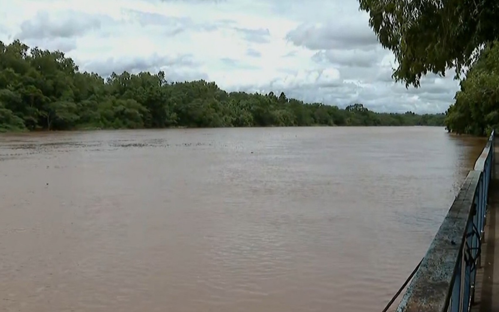 Nível do Rio Pardo sobe 2 metros por causa das chuvas na região de Ribeirão Preto, SP