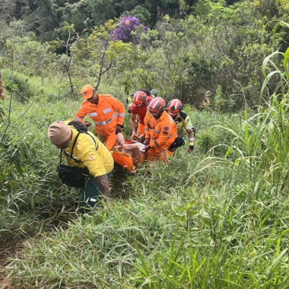 Idosa cai de barranco e passa quase um dia isolada na Serra do Rola-Moça