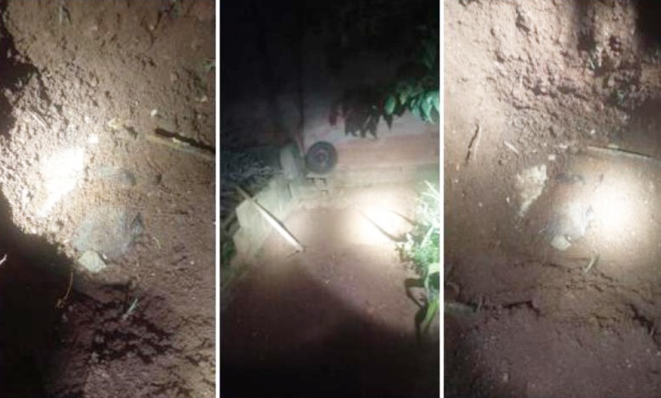Homem que matou 5 cães enforcados e enterrou em quintal é condenado a pagar R$ 50 mil em SP