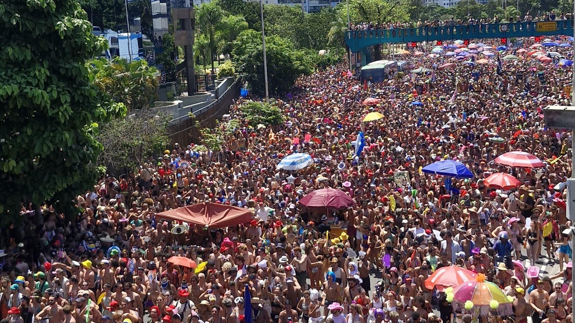 Boi Tolo é destaque no ‘New York Times’: ‘Uma festa que simplesmente não acaba’