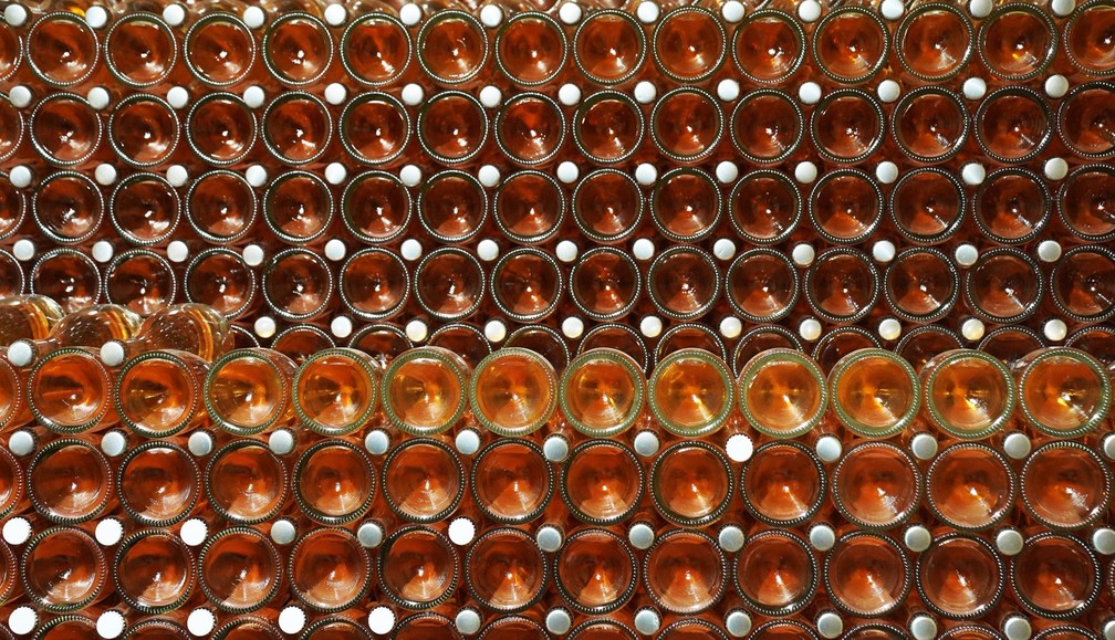 Garrafas de espumante durante processo de fermentação. — Foto: Marcos Serra Lima/g1