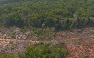 Mudanças climáticas foram a principal causa da grave seca na Amazônia em 2023, aponta estudo