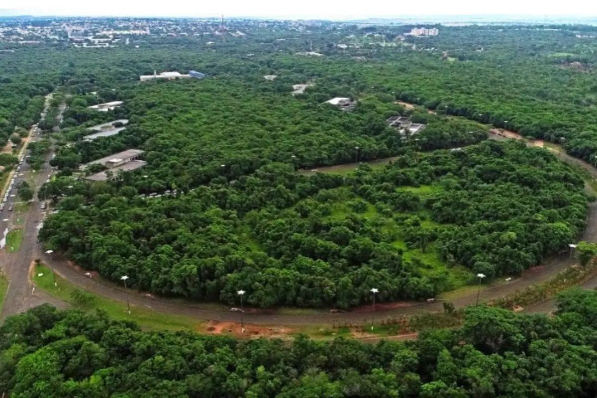 Justiça suspende decisão que paralisava obras no entorno do Parque Estadual do Prosa em Campo Grande