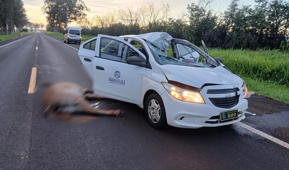 Carro da Prefeitura de Mineiros do Tietê atropela cavalo na SP-304 em Jaú; uma pessoa fica ferida e animal morre