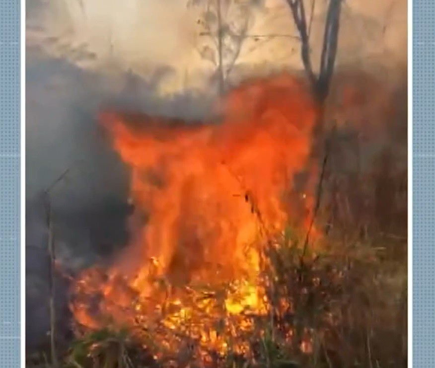 Incêndio atinge área de vegetação no Pau D'Alhinho em Piracicaba e moradores controlam chamas