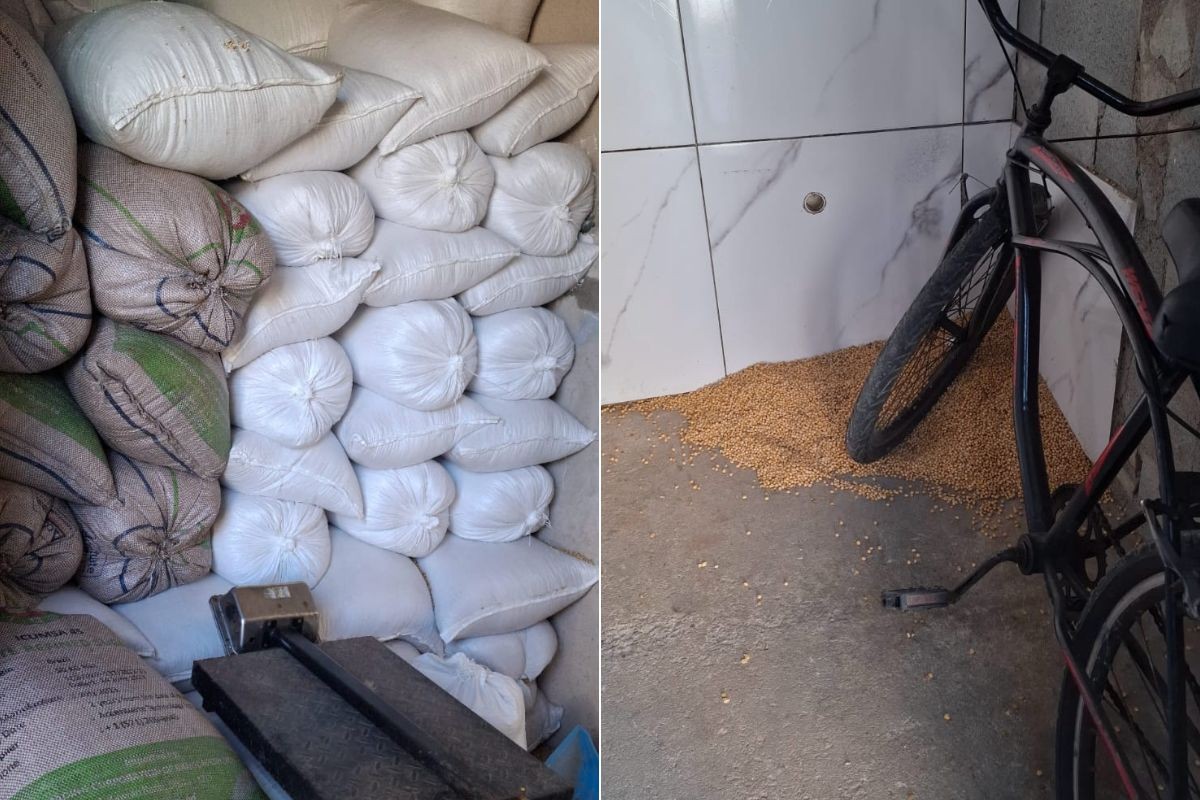 Polícia Civil recupera carga de 4,5 toneladas de soja furtada em ferrovias do litoral de SP; VÍDEO  