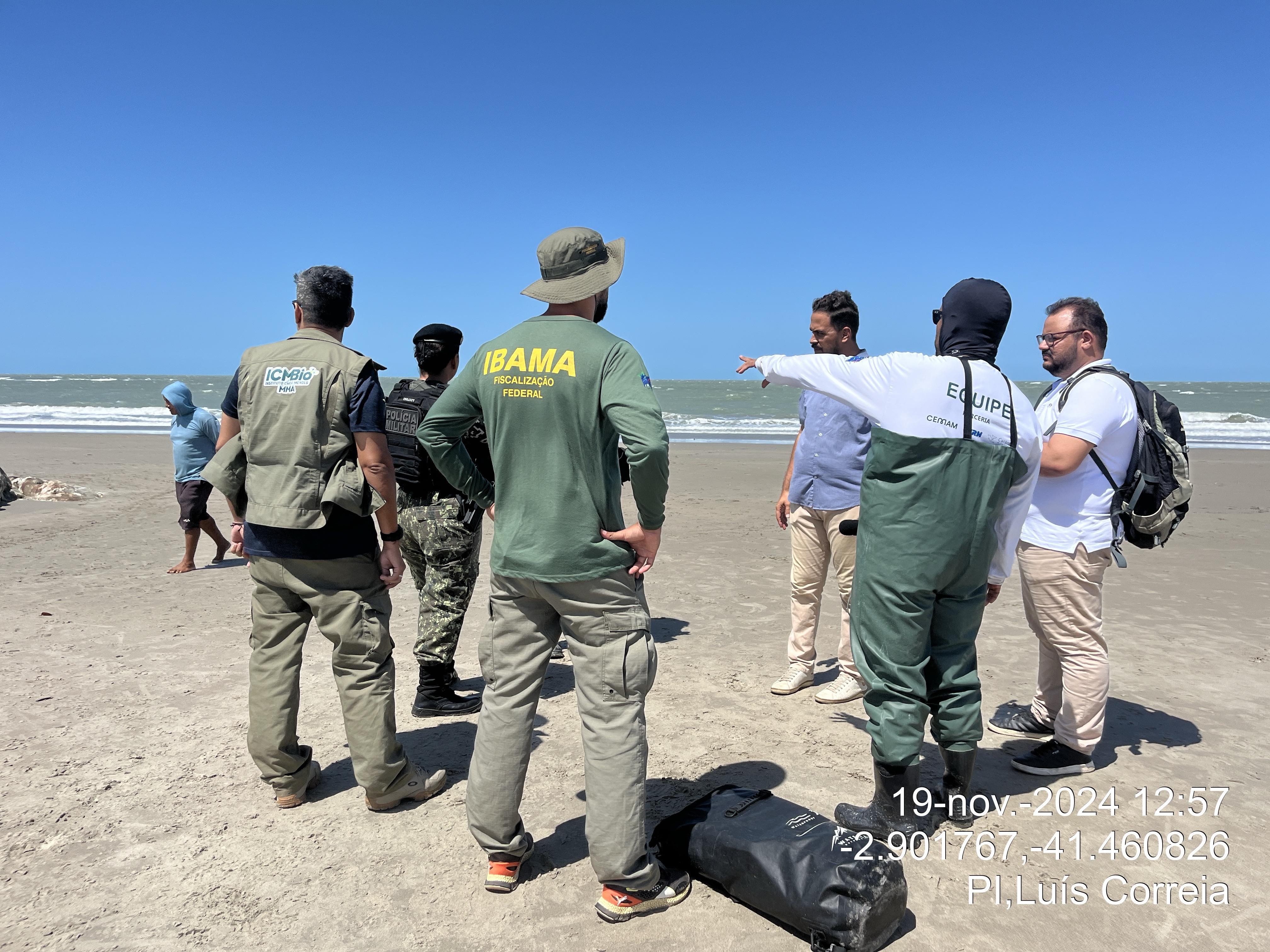 Baleia em estado de decomposição encalha na Praia de Maramar, no litoral do Piauí