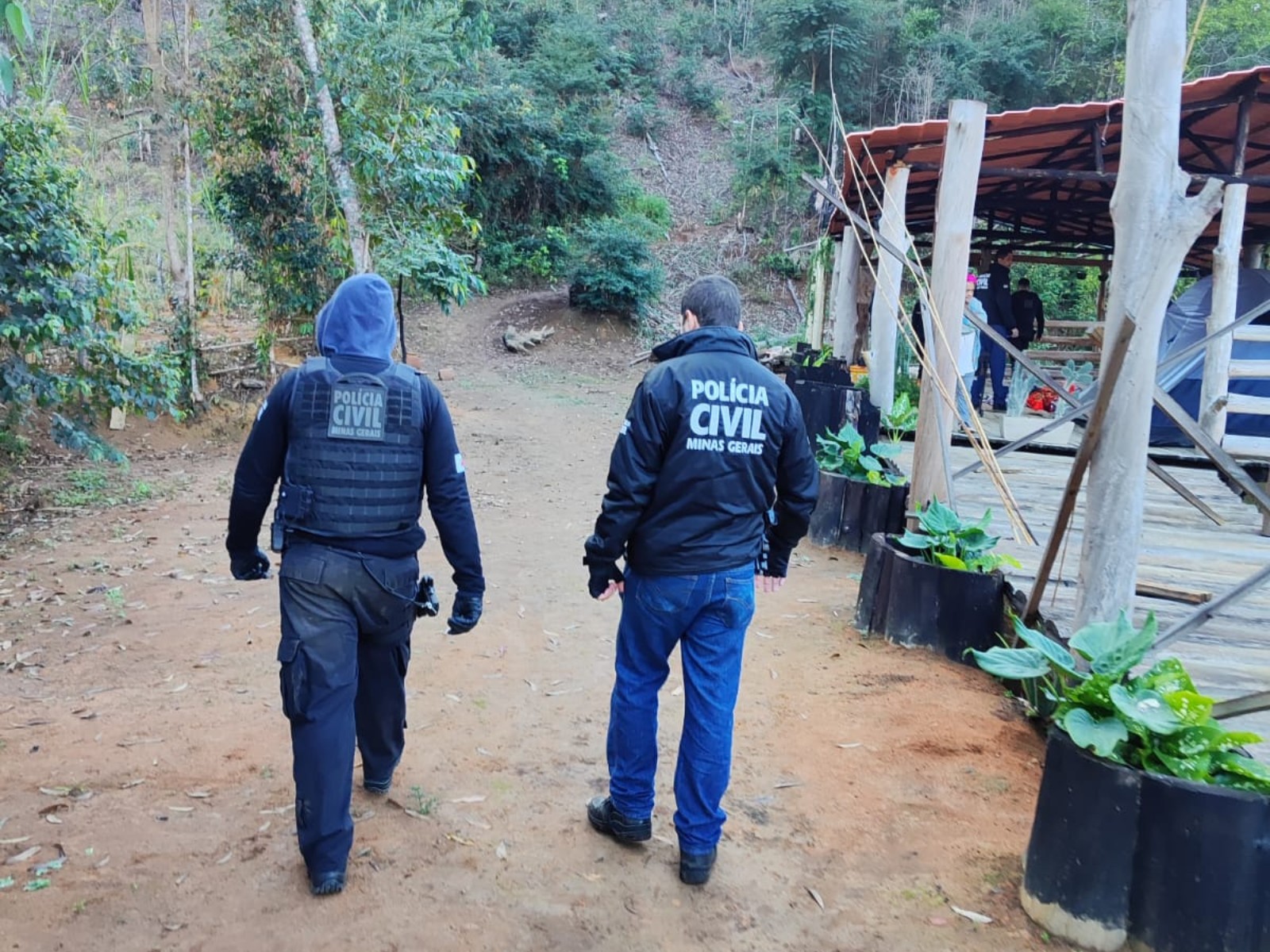 Foragido é preso em mata fechada durante operação com drones e cães, em Gonzaga