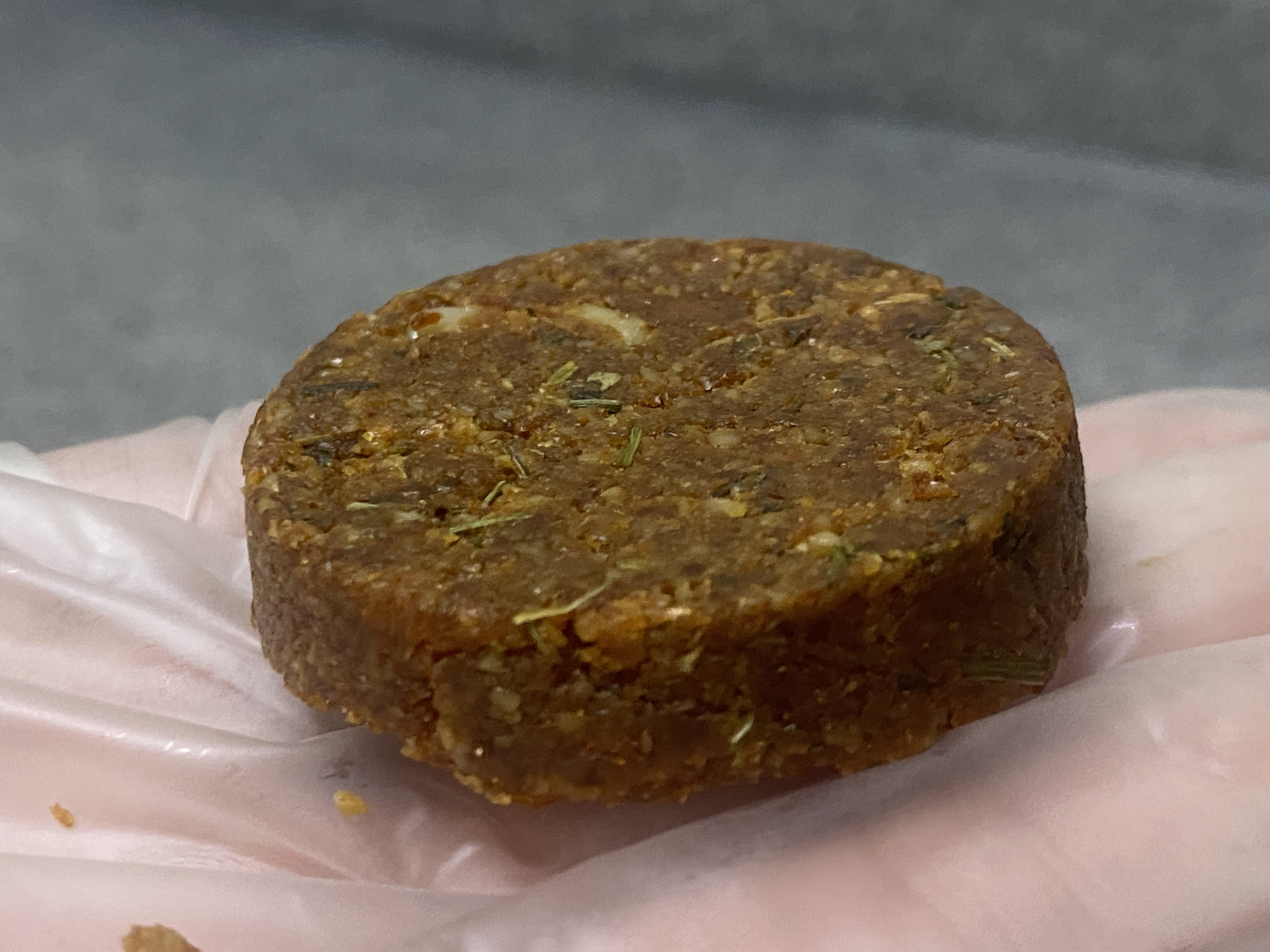 Pesquisadores criam carne vegana com farinha de girassol: rica em proteína, ferro e sustentável