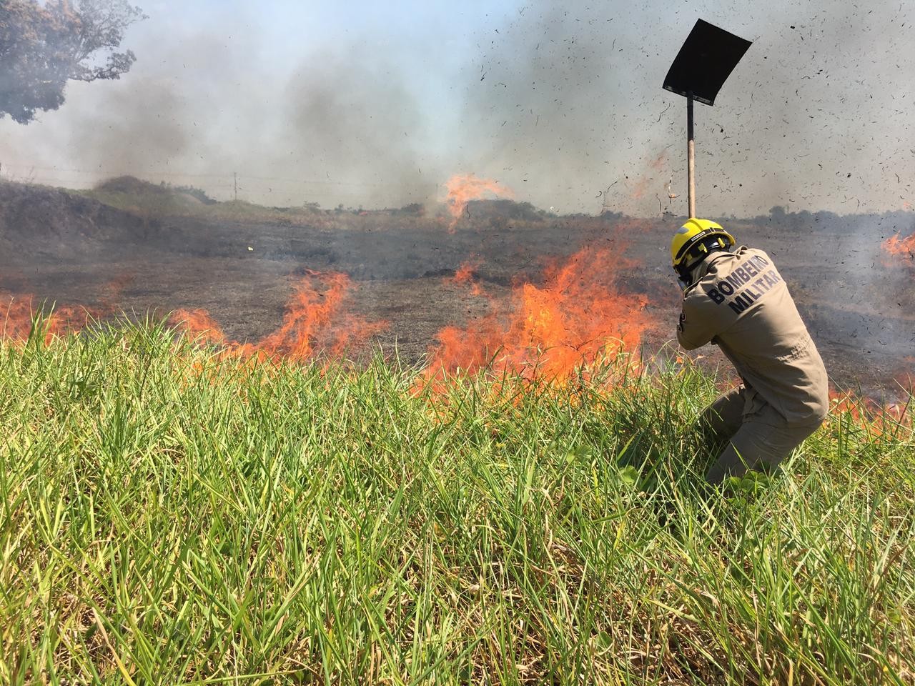 AC tem queda no nº de focos de incêndio em 1 ano, mas bombeiros ainda atenderam mais de 300 chamados