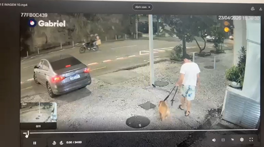 Tutor é denunciado por afogar cachorro no mar em Copacabana; câmeras mostram últimos minutos do animal antes da morte