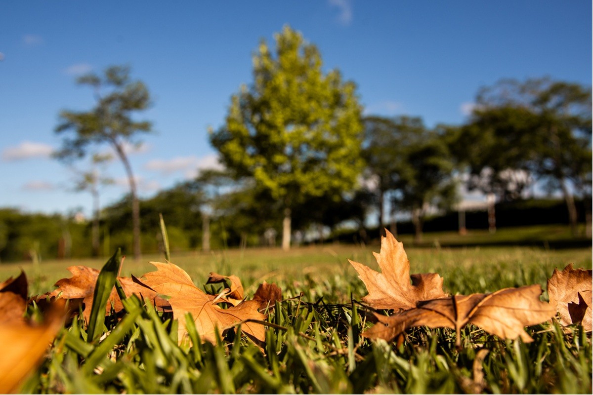Confira a previsão do tempo em cidades do RJ com a chegada do Outono