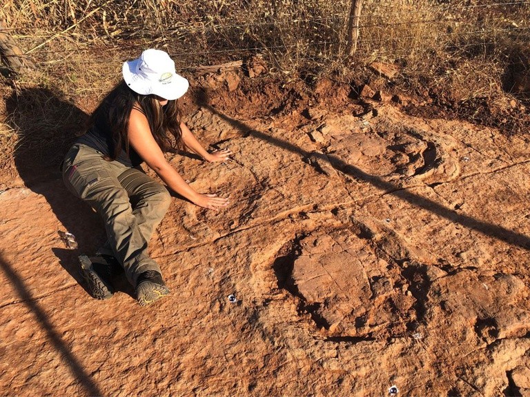 Pesquisadores da UFRN descobrem novas pegadas de dinossauro que viveu há mais de 100 milhões de anos