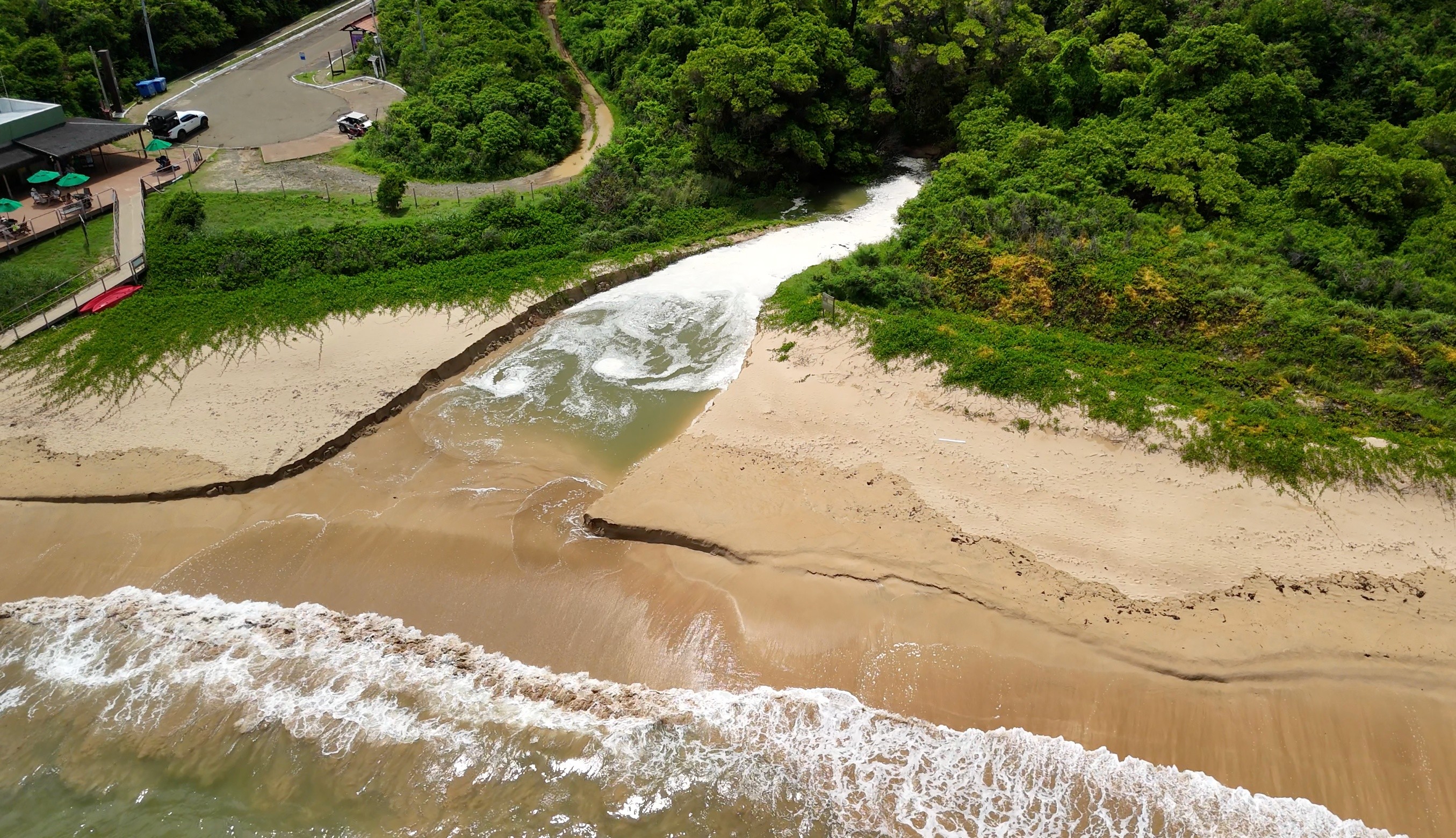 Pesquisadores alertam para poluição em mangue de Fernando de Noronha; VÍDEO 