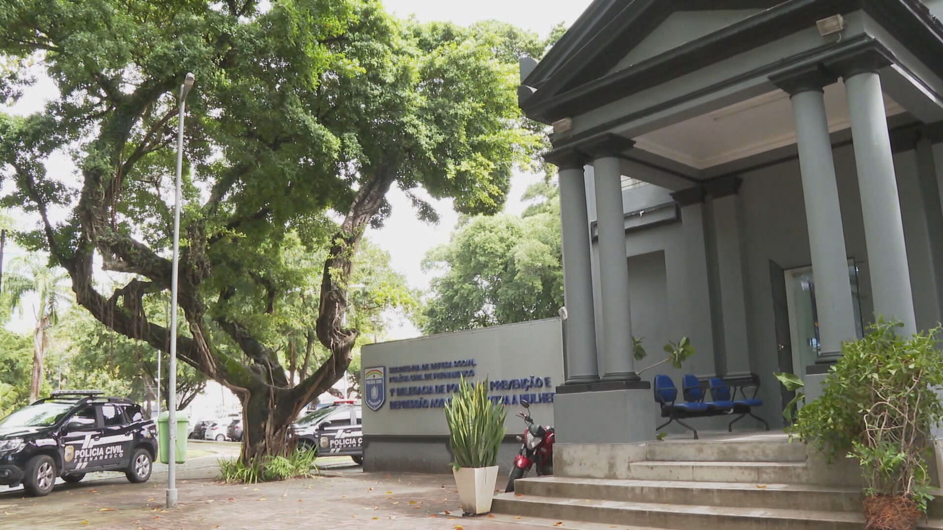 Número de feminicídios cresce 15% em Pernambuco e é o maior em 8 anos, aponta SDS