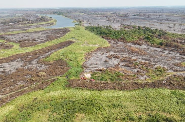 Em cinco meses, número de incêndios no Pantanal é 39% maior do que no 