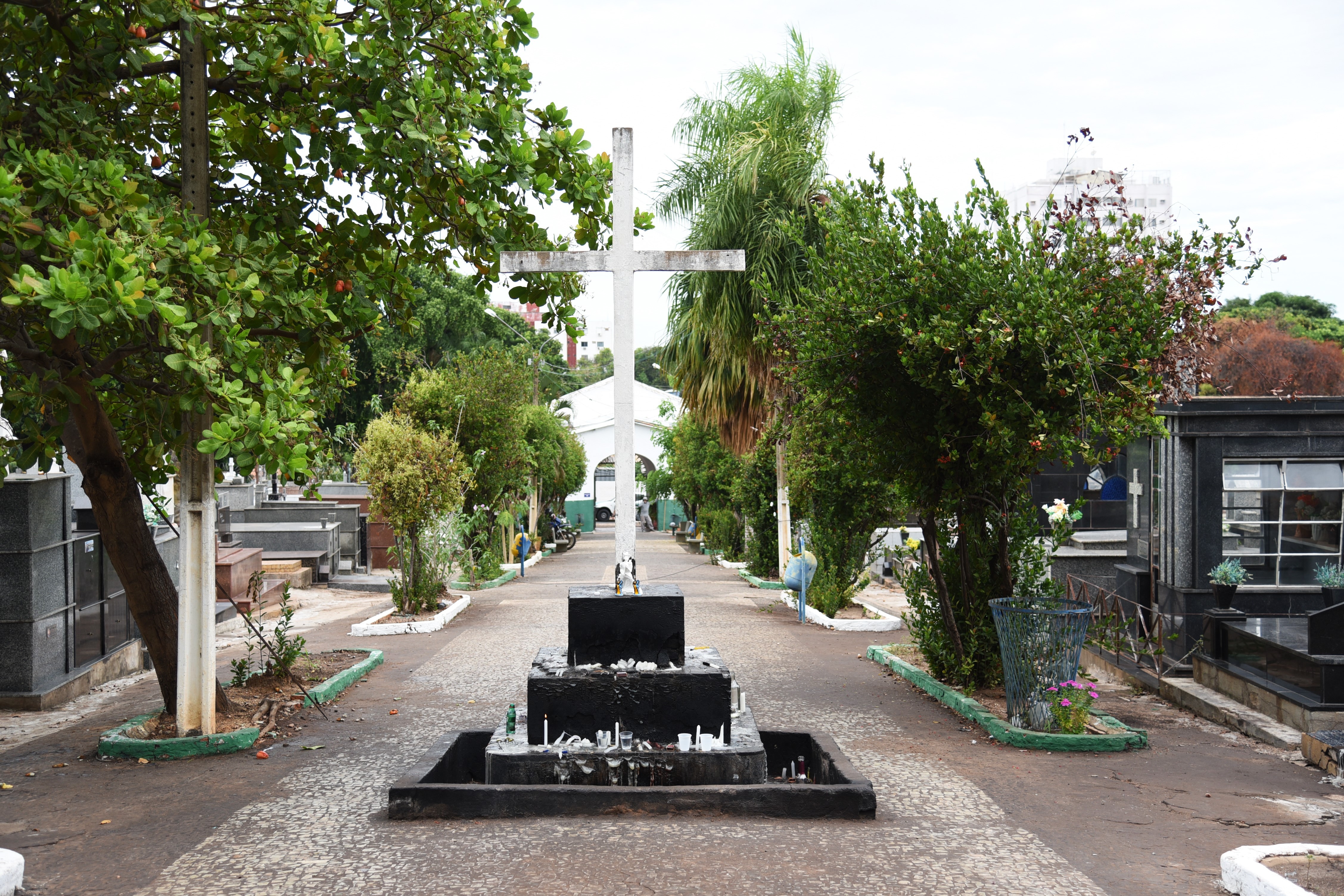 Prefeitura veta projeto que prevê sepultamento de animais domésticos em cemitérios públicos de Cuiabá 