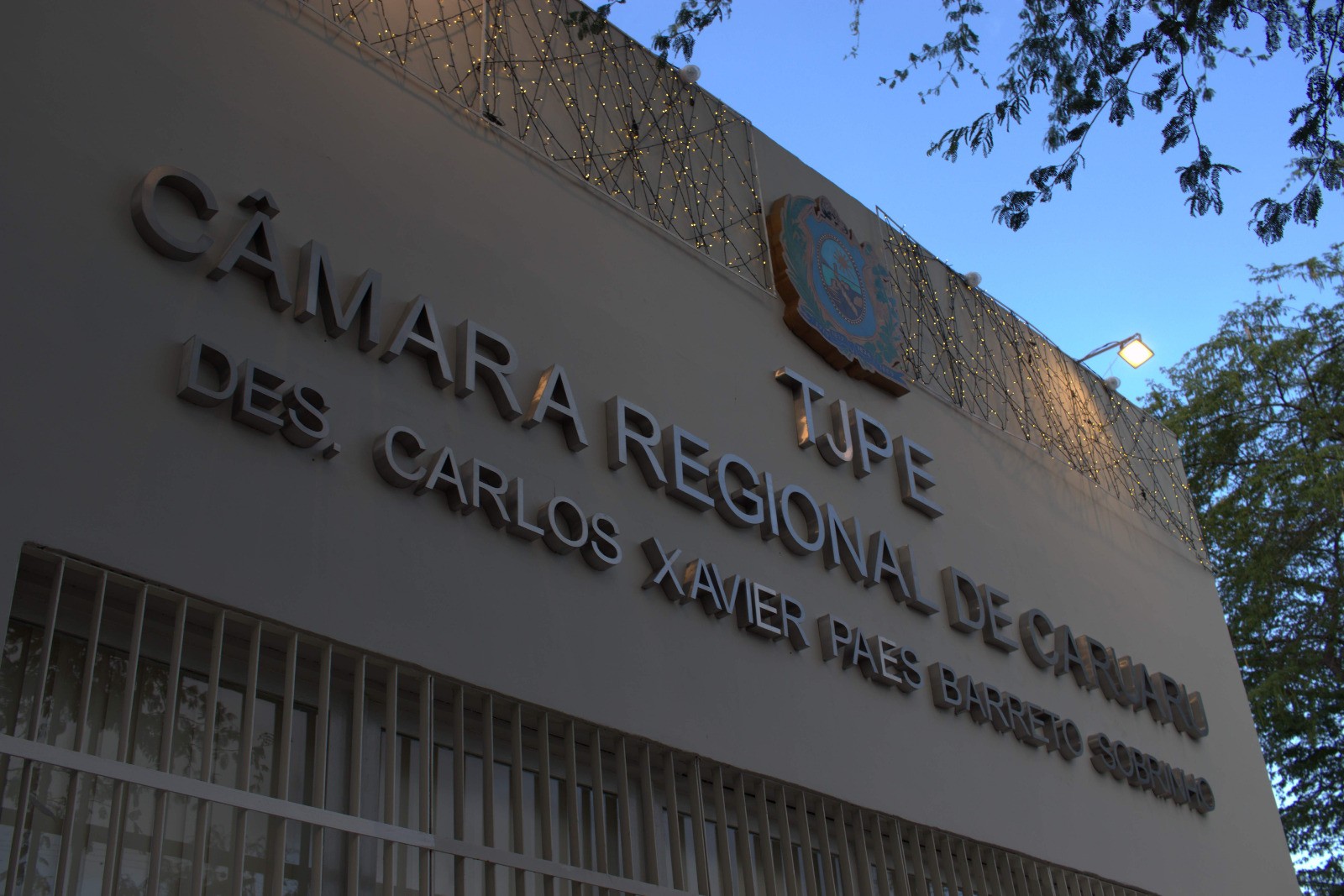 Justiça de PE condena clínica veterinária por morte de gato que recebeu alta antes de laudo médico