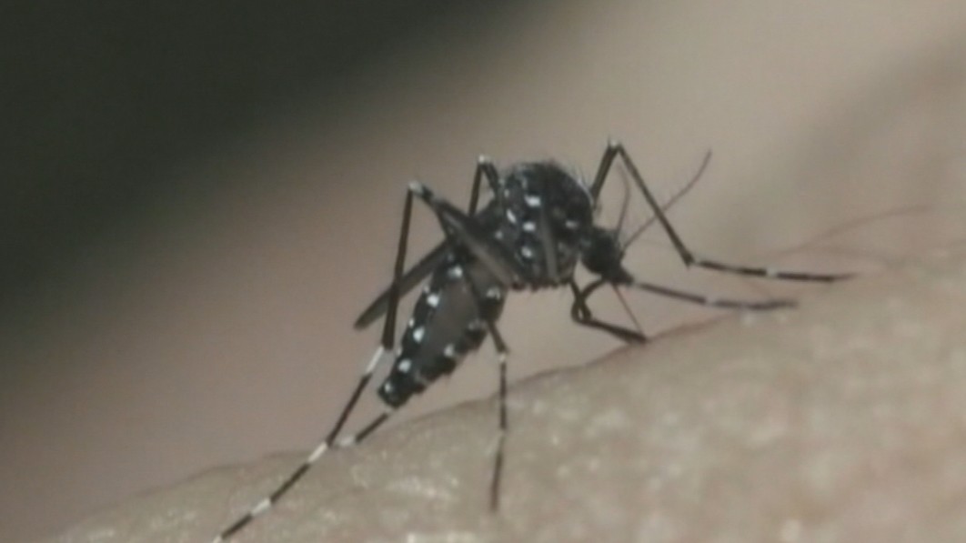 Brasil registra mais de 1 milhão de casos de dengue em 2024; mortes chegam a 207