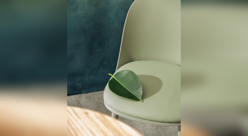 Verde é a cor do momento, destaca arquiteta — Foto: Freepik/Reprodução