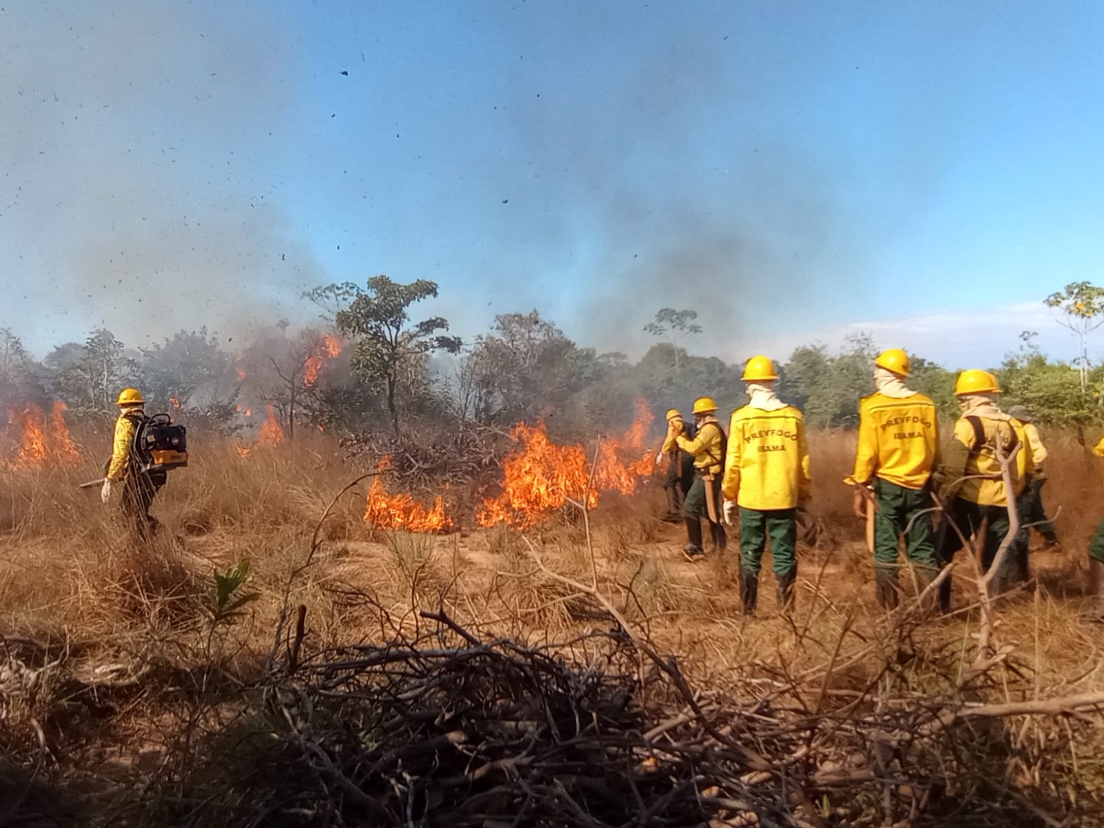 Fogo avança no oeste do Pará, e dois municípios decretam emergência por incêndios florestais