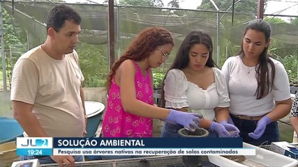 Pesquisa usa árvores nativas na recuperação de solos contaminados no Pará