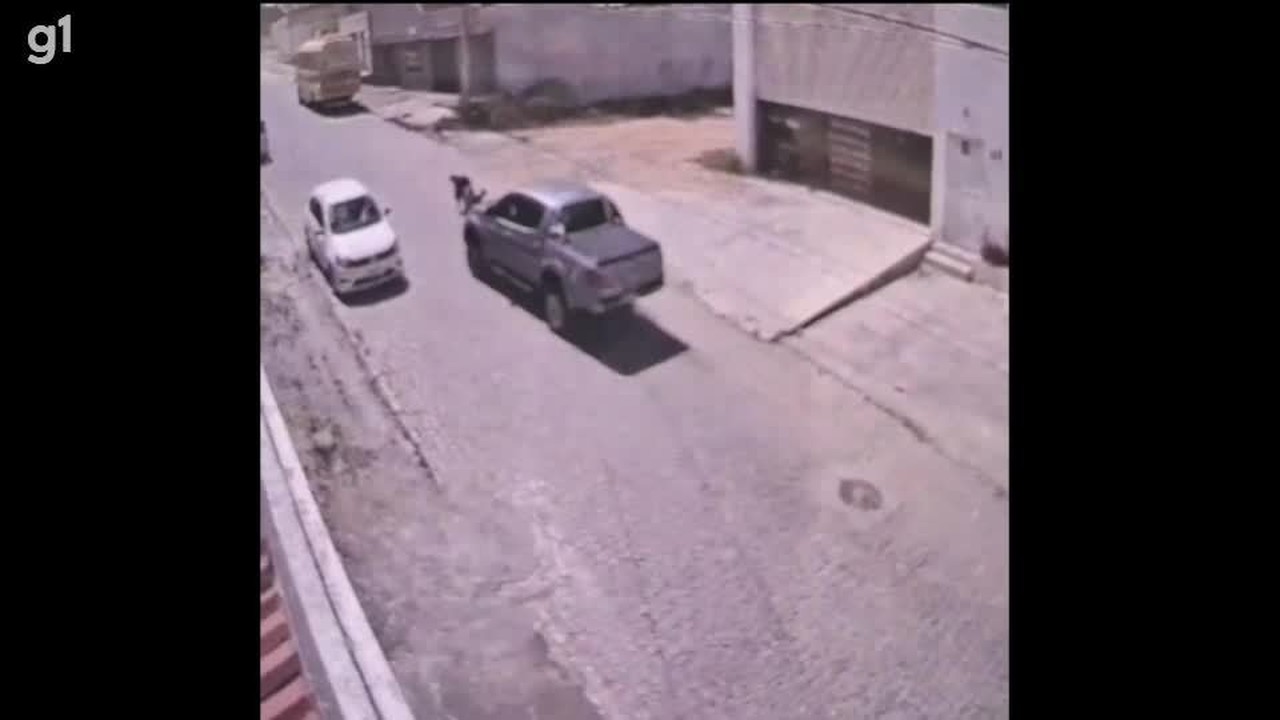 Cachorro morre após ser atropelado por motorista que não prestou socorro em Caruaru; VÍDEO