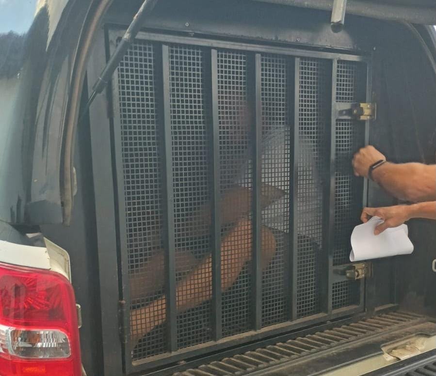 Suspeito de estelionato é preso por aplicar golpes em São Luís e no interior do MA