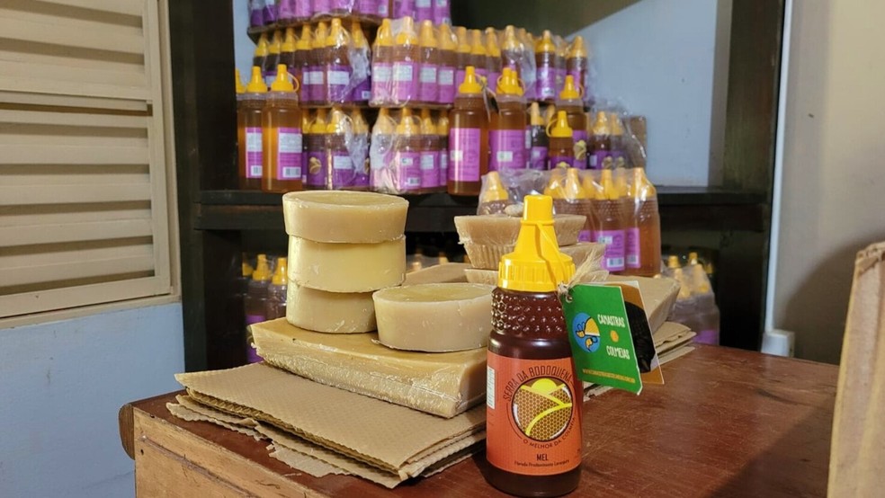 Cera e mel estão entre os produtos produzidos pela empresa de Adriano. — Foto: g1MS/RenataBarros