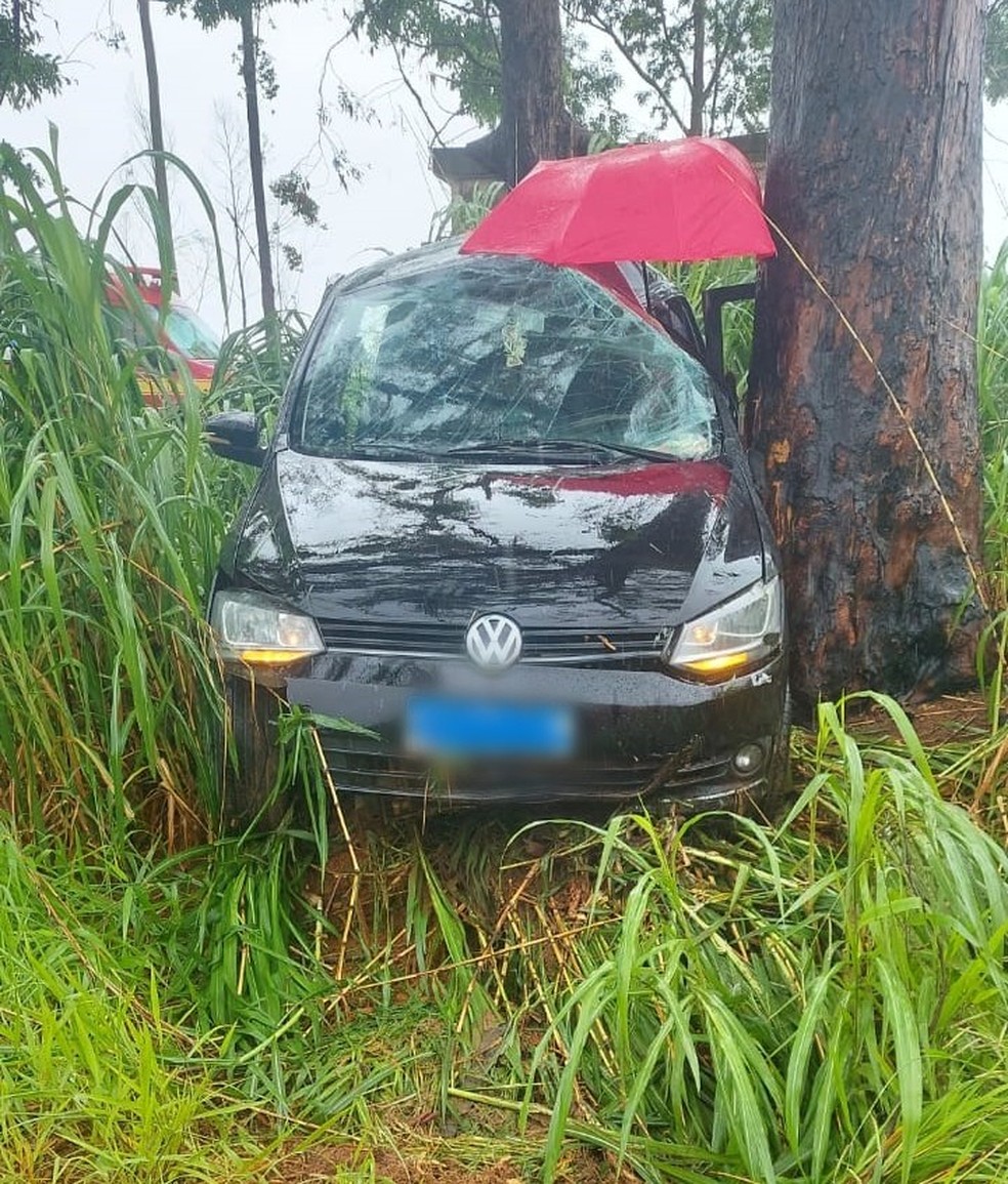 Motorista morre após carro bater em árvore na BR-365 em Patos de Minas — Foto: Corpo de Bombeiros/Divulgação