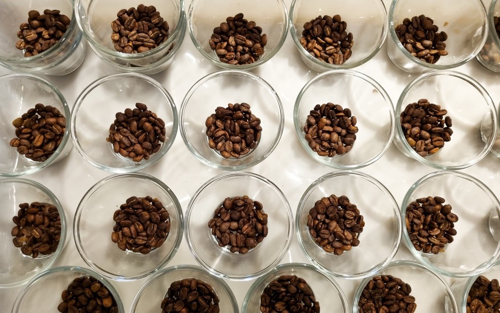 Concurso de Qualidade dos Cafés de Minas abre inscrições gratuitas para edição 2026 — Foto: Divulgação / Emater-MG