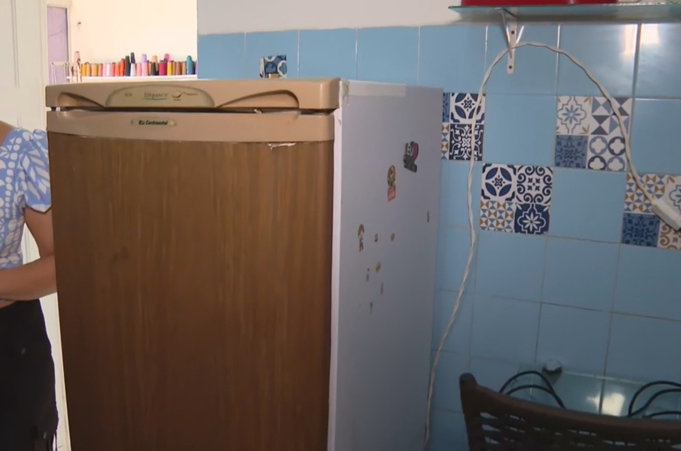 Geladeiras só devem ser lavadas desligadas — Foto: Reprodução/TV Bahia