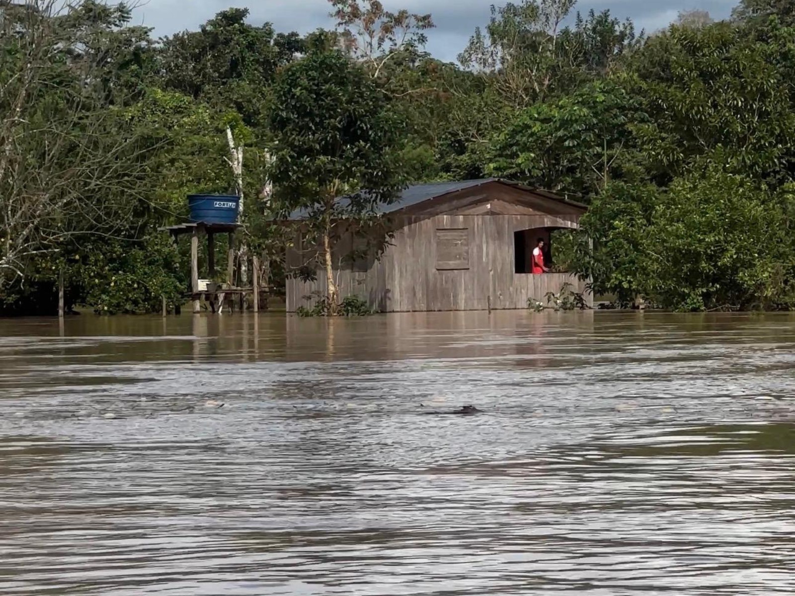 Rio Juruá transborda pela quinta vez em quatro meses no interior do Acre