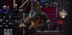 Final da etapa de Americana da PBR reuniu dez competidores na noite deste domingo (7) — Foto: Thomaz Marostegan