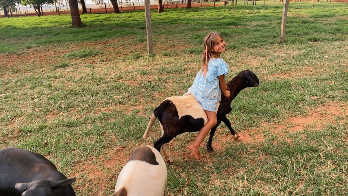 Nada de pônei: 'miniboiadeira' é notada por Ana Castela ao montar ovelhas