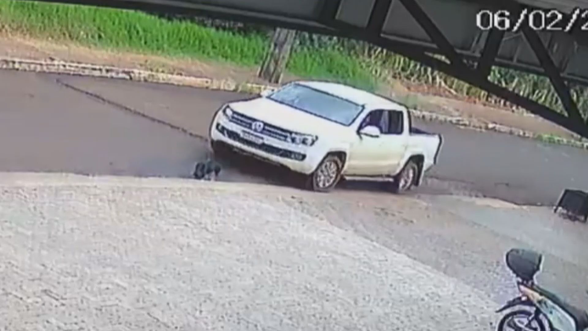 VÍDEO: Jovem é preso em flagrante suspeito de atropelar e matar cadela no Paraná